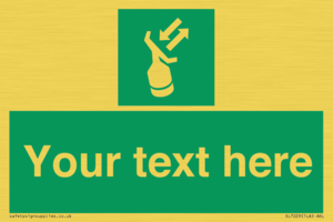 Custom sign safe condition Search and rescue transponder